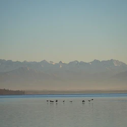 Lake Starnberg with a calm surface reflecting snow-capped mountains in the background. Several birds are visible on the water.