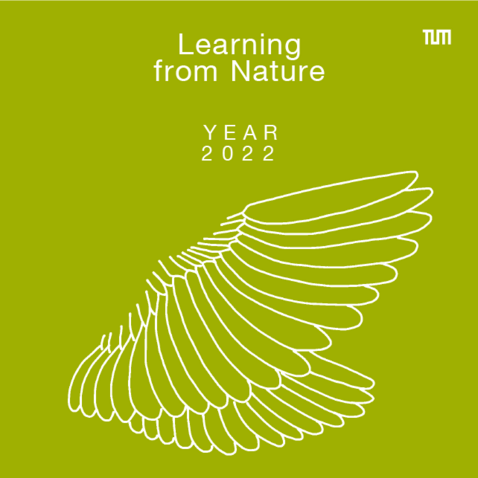 TUMJA class 2022 - Learning from Nature