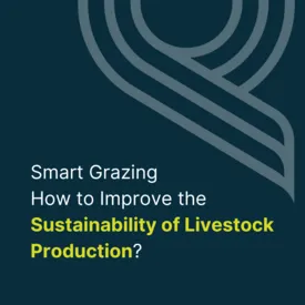 Smart Grazing - How to Improve the Sustainability of Livestock Production?