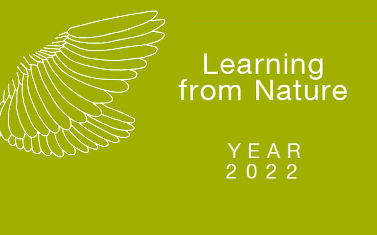Learning from Nature - class 2022